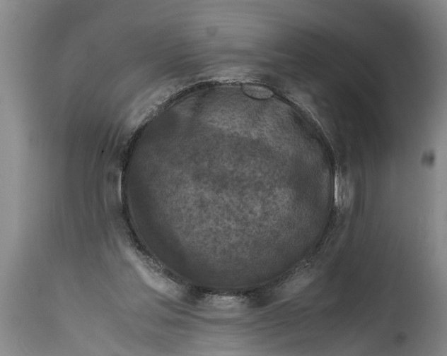 X0000114410205200911061609