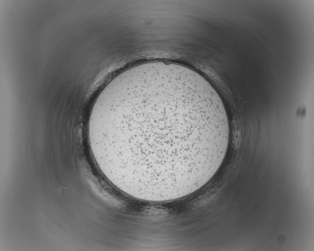 X0000114410207200911061609