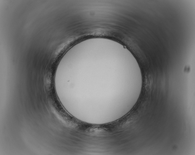 X0000114410208200911061609