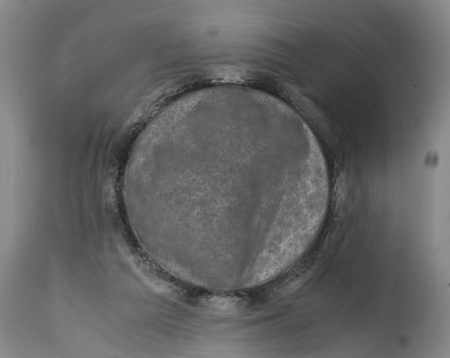 X0000114410209200911061609