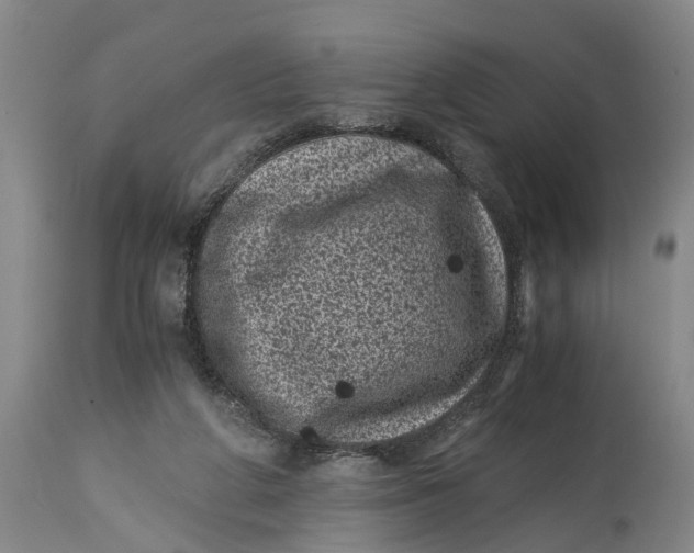 X0000114410210200911061609