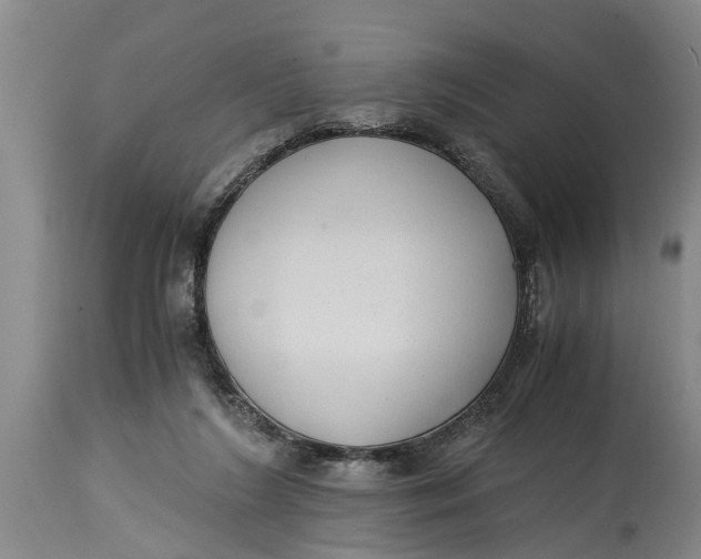 X0000114410212200911061609