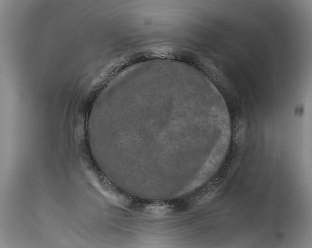 X0000114410213200911061609