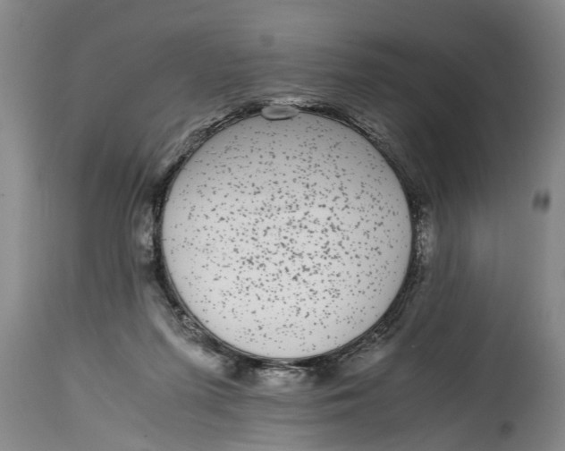 X0000114410215200911061609