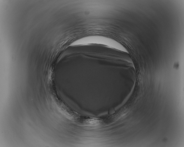 X0000114410219200911061609