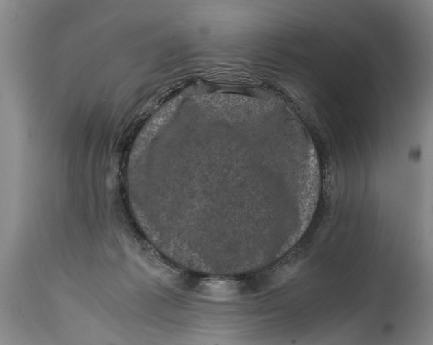 X0000114410221200911061609