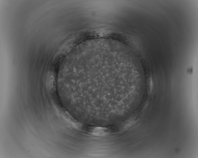 X0000114410222200911061609