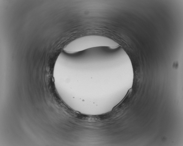 X0000114410223200911061609