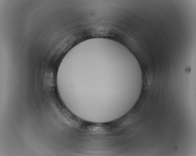 X0000114410224200911061609