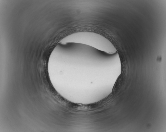 X0000114410225200911061609