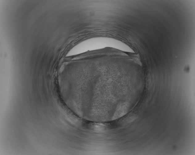 X0000114410229200911061609