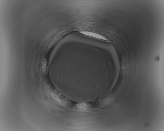 X0000114410231200911061609