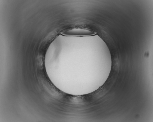 X0000114410232200911061609