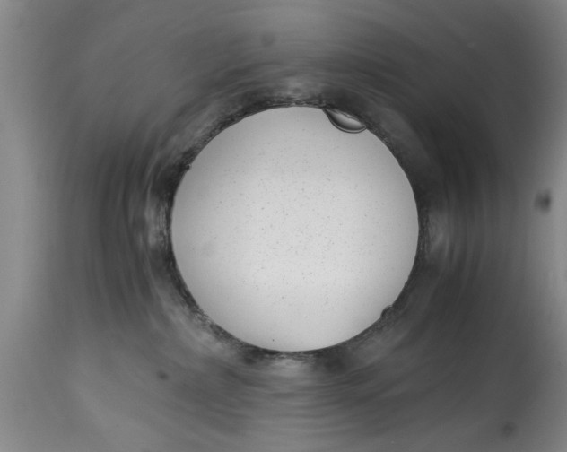 X0000114410236200911061609