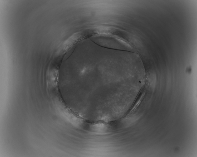 X0000114410237200911061609