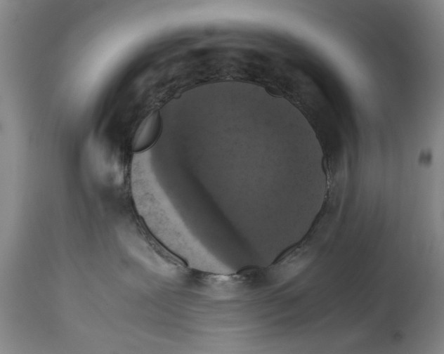 X0000114410239200911061609