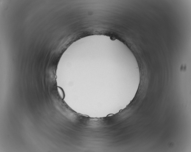 X0000114410240200911061609