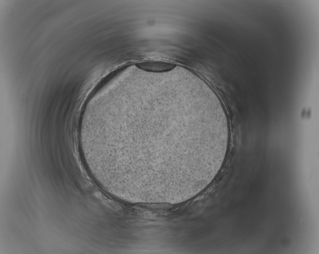 X0000114410241200911061608