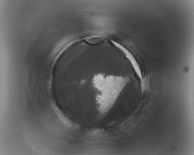 X0000114410243200911061608