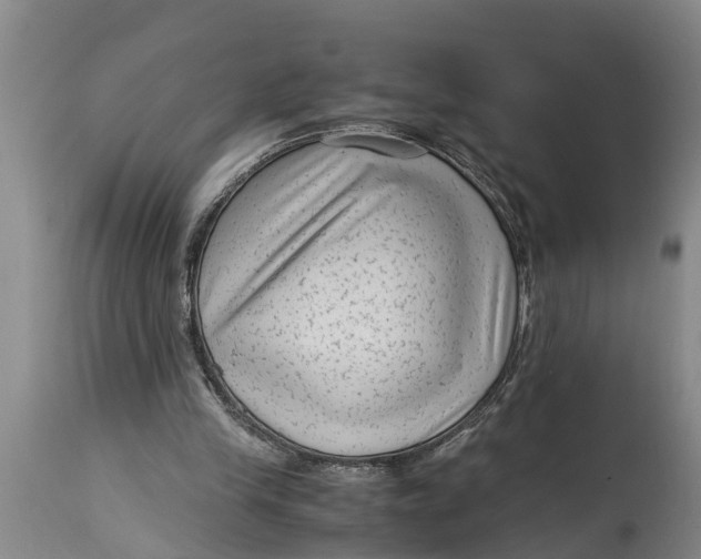 X0000114410245200911061608