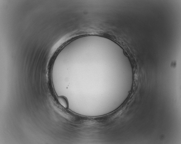 X0000114410246200911061608