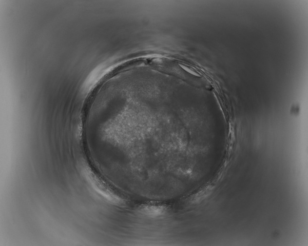 X0000114410247200911061608