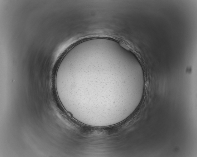 X0000114410248200911061608