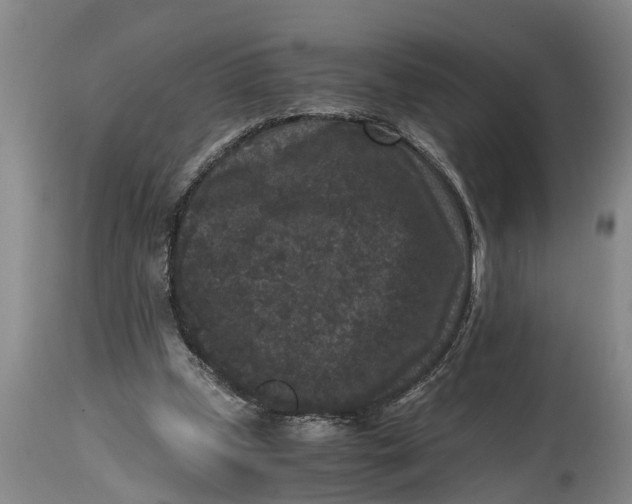 X0000114410249200911061608