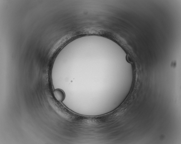 X0000114410250200911061608