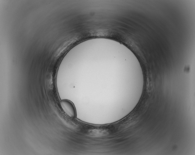 X0000114410251200911061608