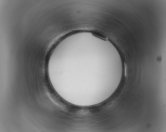 X0000114410252200911061608