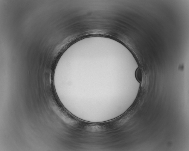 X0000114410253200911061608