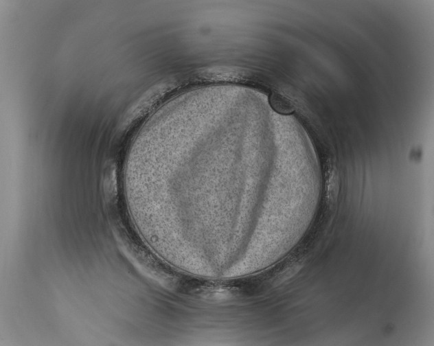 X0000114410254200911061608