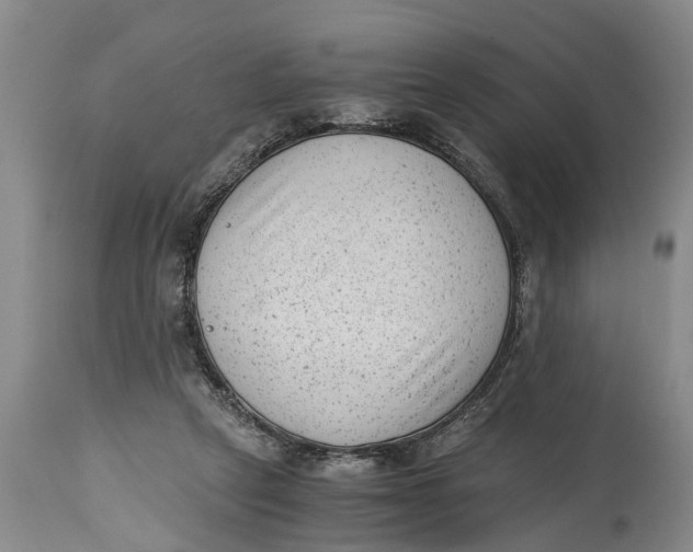 X0000114410257200911061608