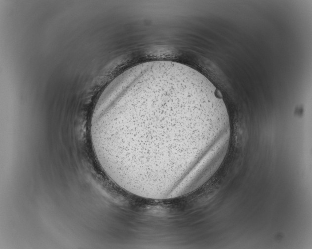 X0000114410259200911061608