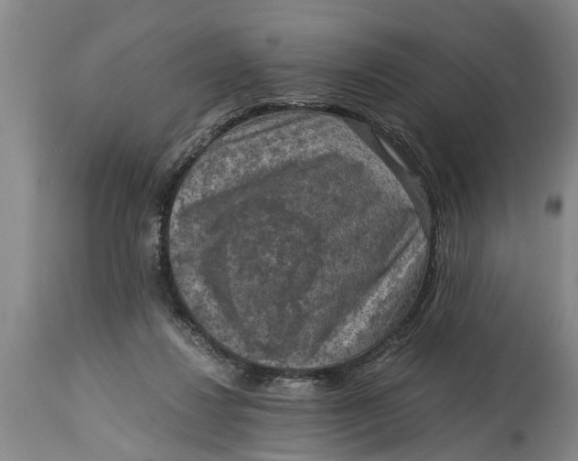 X0000114410260200911061608