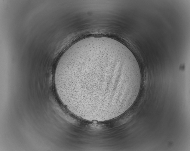 X0000114410261200911061608