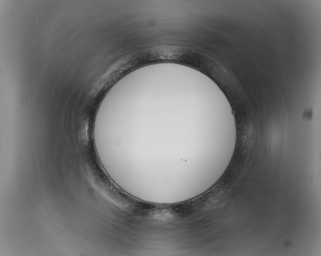 X0000114410262200911061608