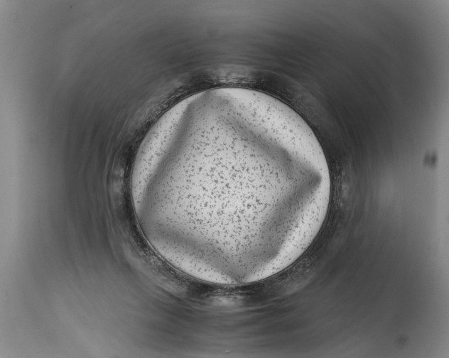 X0000114410263200911061608