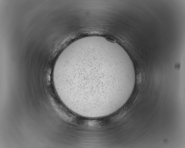 X0000114410264200911061608