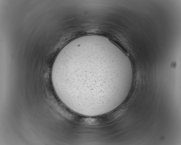 X0000114410265200911061608