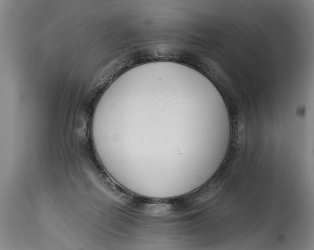 X0000114410266200911061608