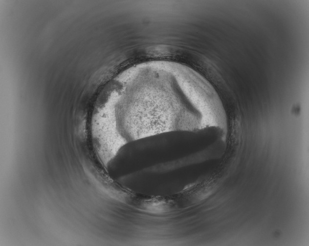 X0000114410267200911061608