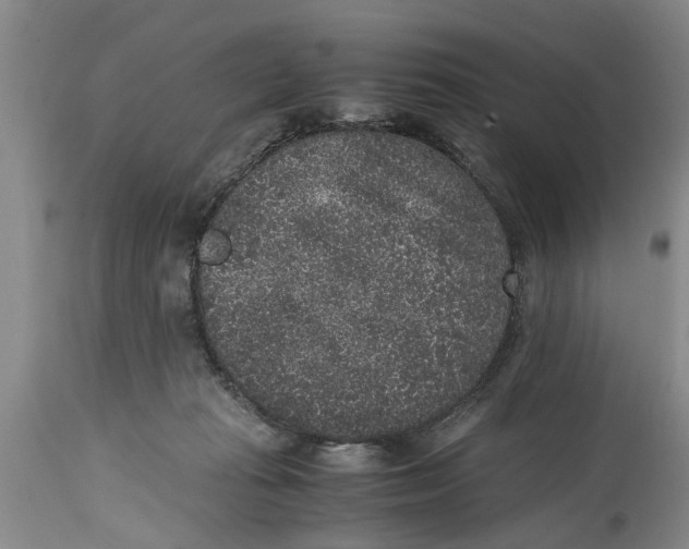 X0000114410269200911061608