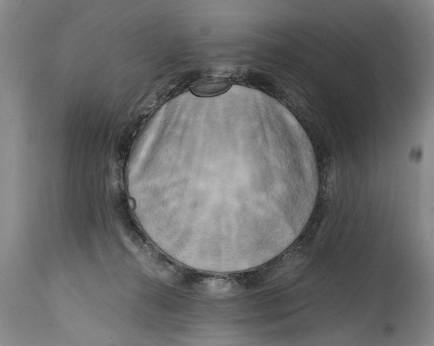 X0000114410272200911061608