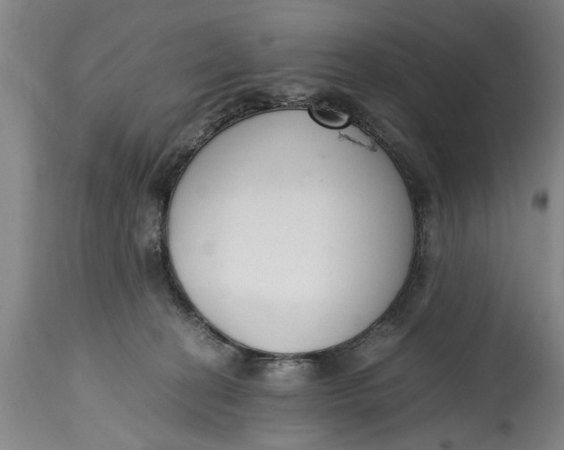 X0000114410274200911061608