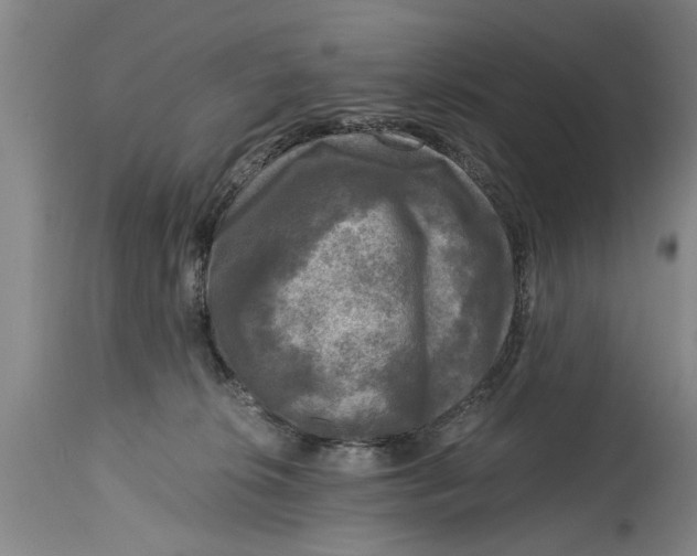 X0000114410276200911061608