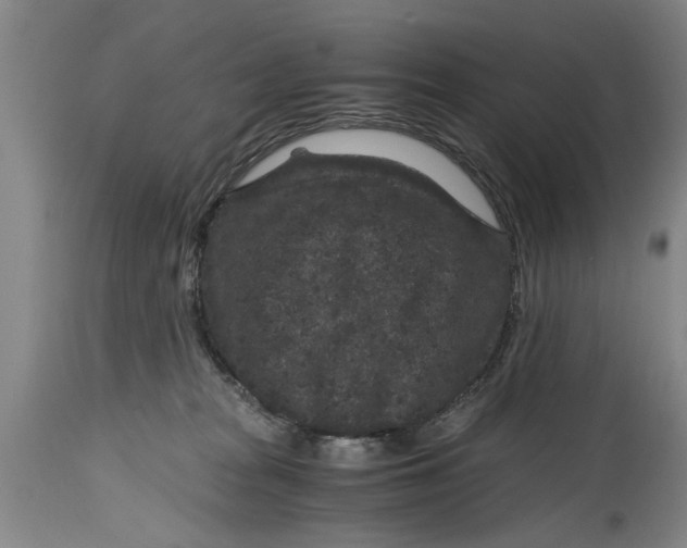 X0000114410277200911061608