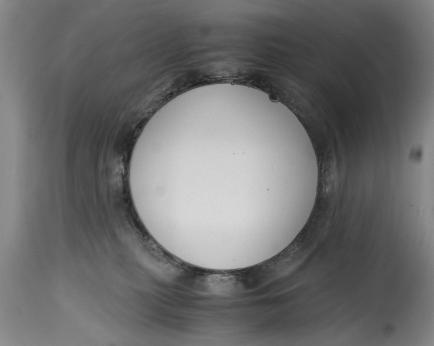 X0000114410279200911061608