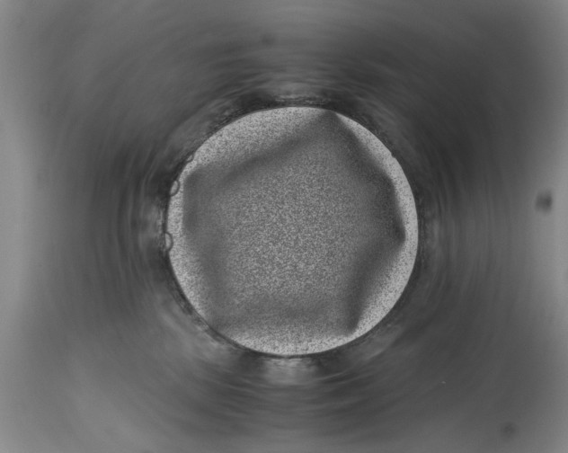 X0000114410281200911061608